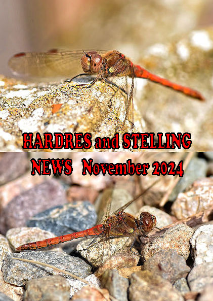 Mag cover - November 2024