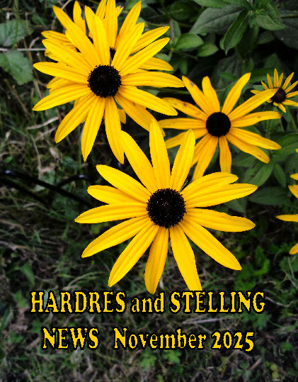 Mag cover November 2025