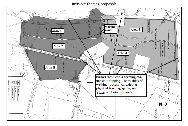 Invisible fencing plan